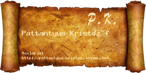 Pattantyus Kristóf névjegykártya
